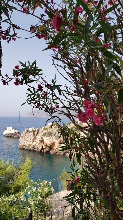 Ca La Dolors Villa Дея Екстериор снимка